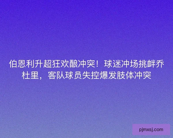 伯恩利升超狂欢酿冲突！球迷冲场挑衅乔杜里，客队球员失控爆发肢体冲突